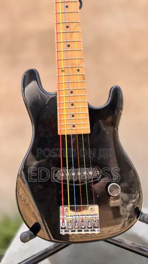 Small Body Electric Guitar