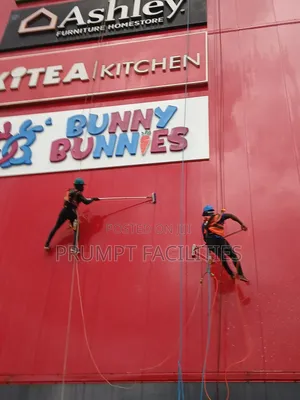 Limited Facade Cleaning Service