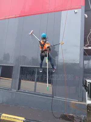 Limited Facade Cleaning Service