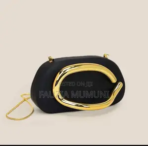 Luxurious Ladies Clutch