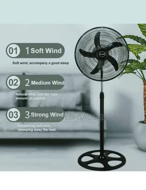 Standing Fan