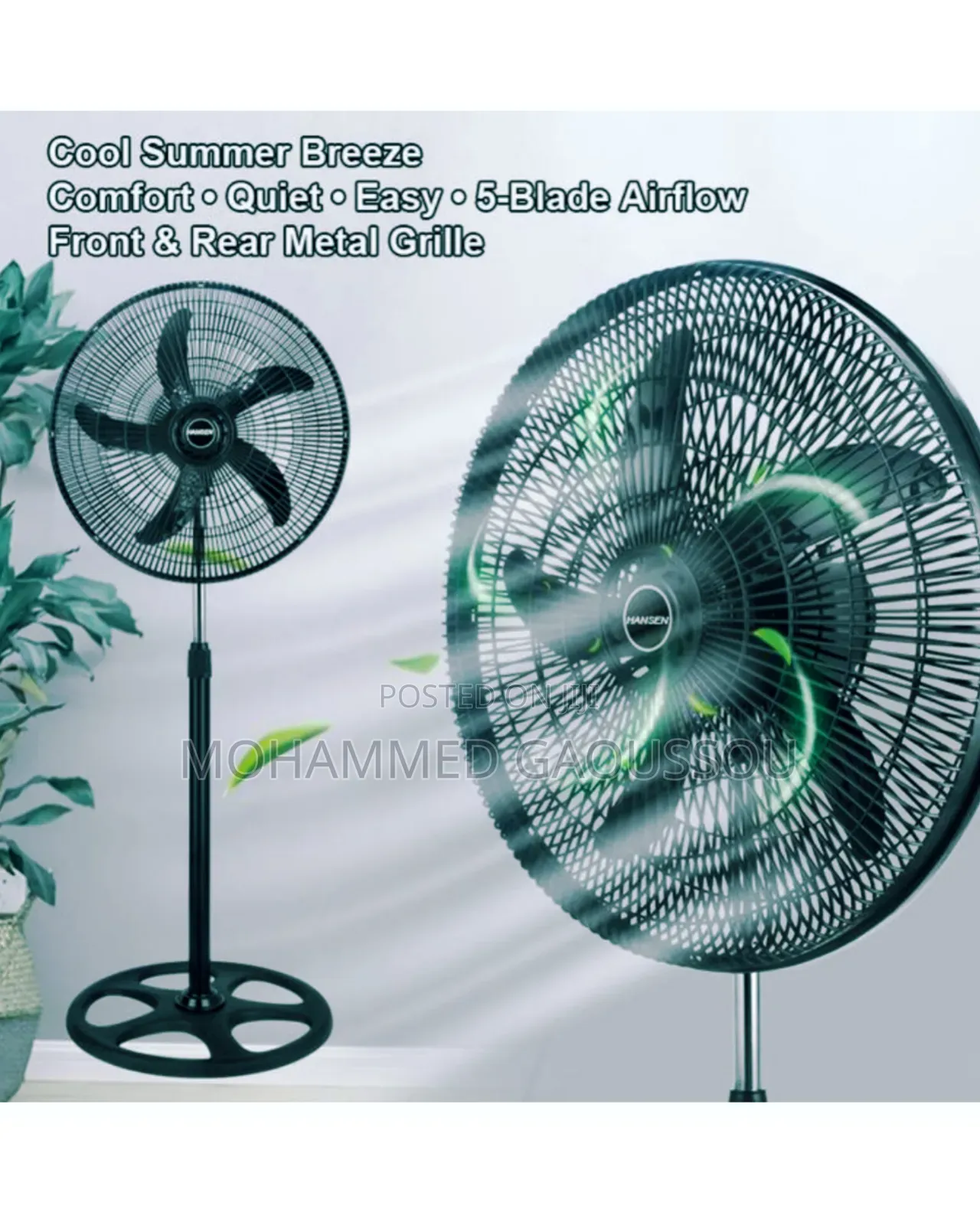 Standing Fan