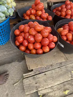 Locally Produced Fresh Tomatoes