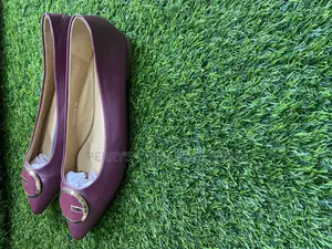 Midnight Elegance Pointed-Toe Flats