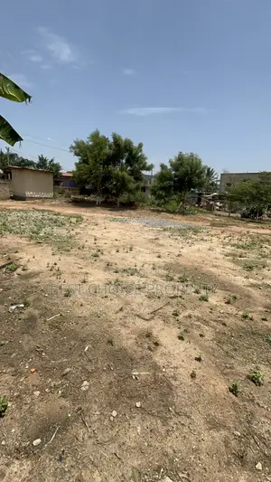 Title Land for Sale at Ashley Botwe