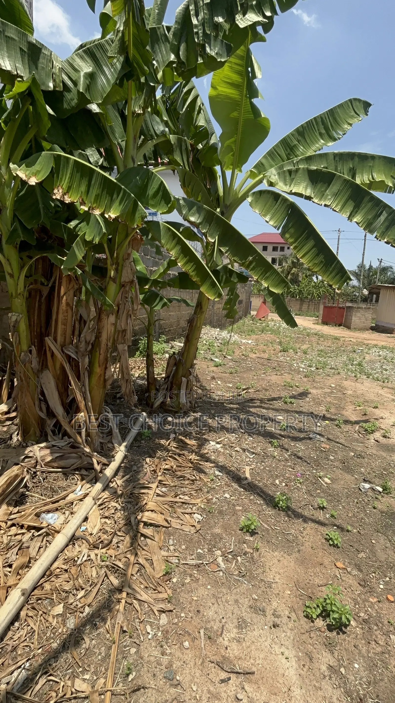 Title Land for Sale at Ashley Botwe
