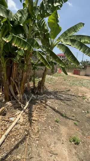 Title Land for Sale at Ashley Botwe