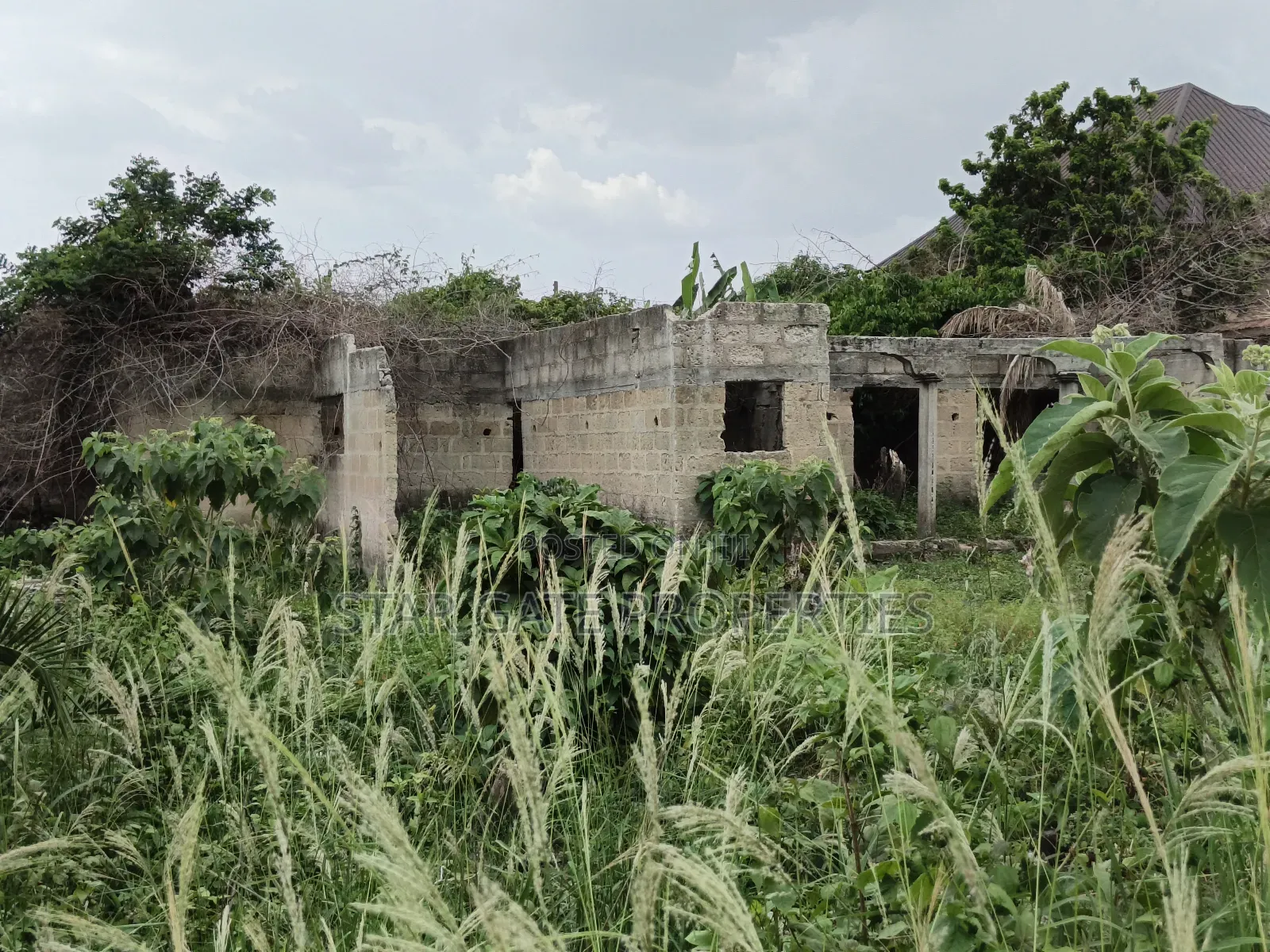 Plot for Sale at Kenyasi Adwumam 130*100 Ft