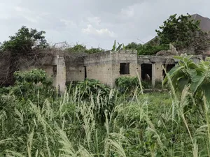 Plot for Sale at Kenyasi Adwumam 130*100 Ft