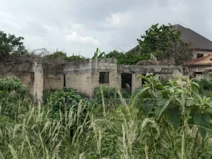 Plot for Sale at Kenyasi Adwumam 130*100 Ft