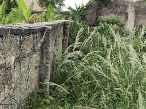 Plot for Sale at Kenyasi Adwumam 130*100 Ft