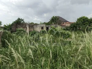 Plot for Sale at Kenyasi Adwumam 130*100 Ft