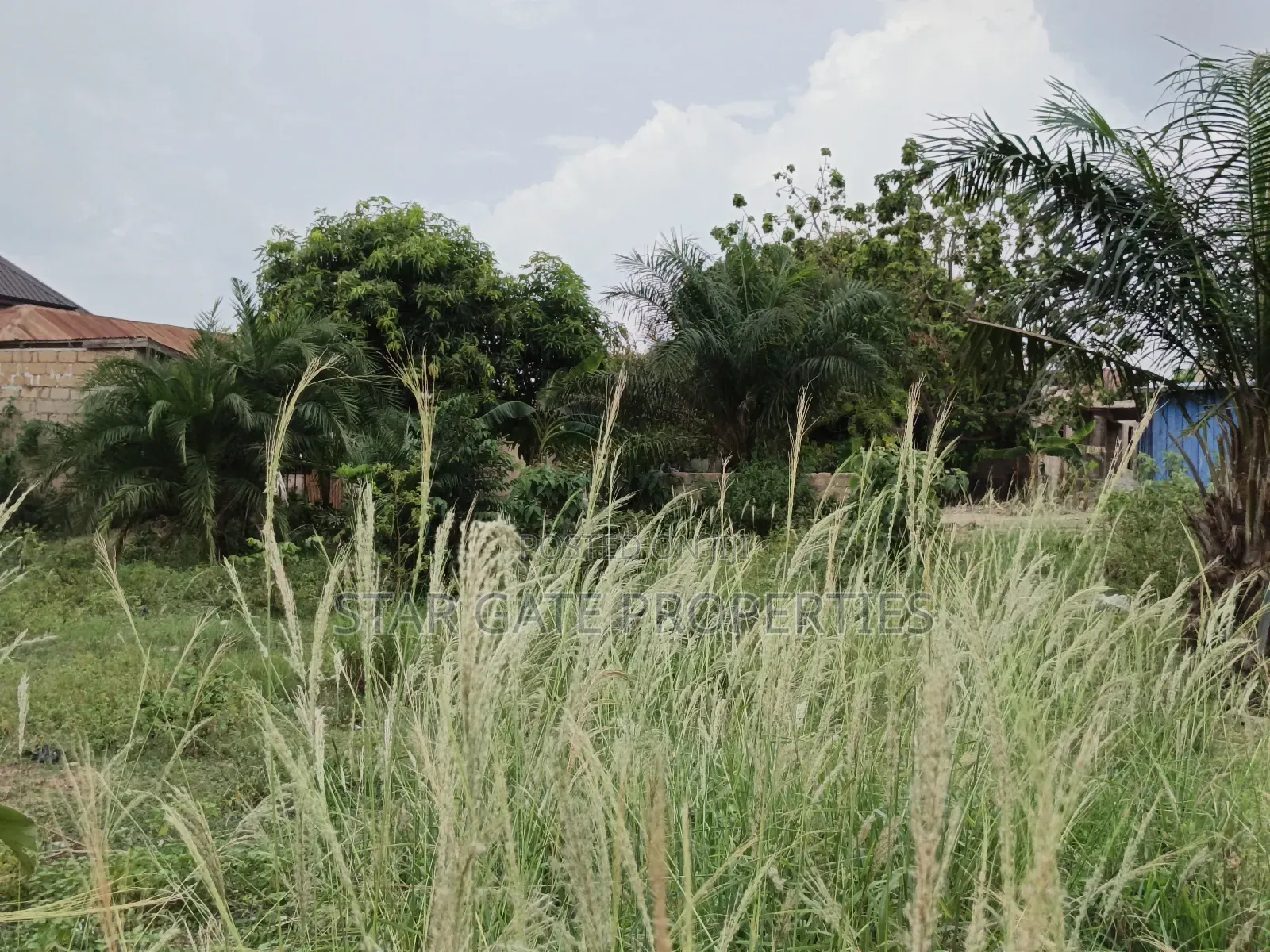 Plot for Sale at Kenyasi Adwumam 130*100 Ft