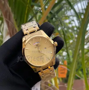 Bestwin Day-Date Chain Watch