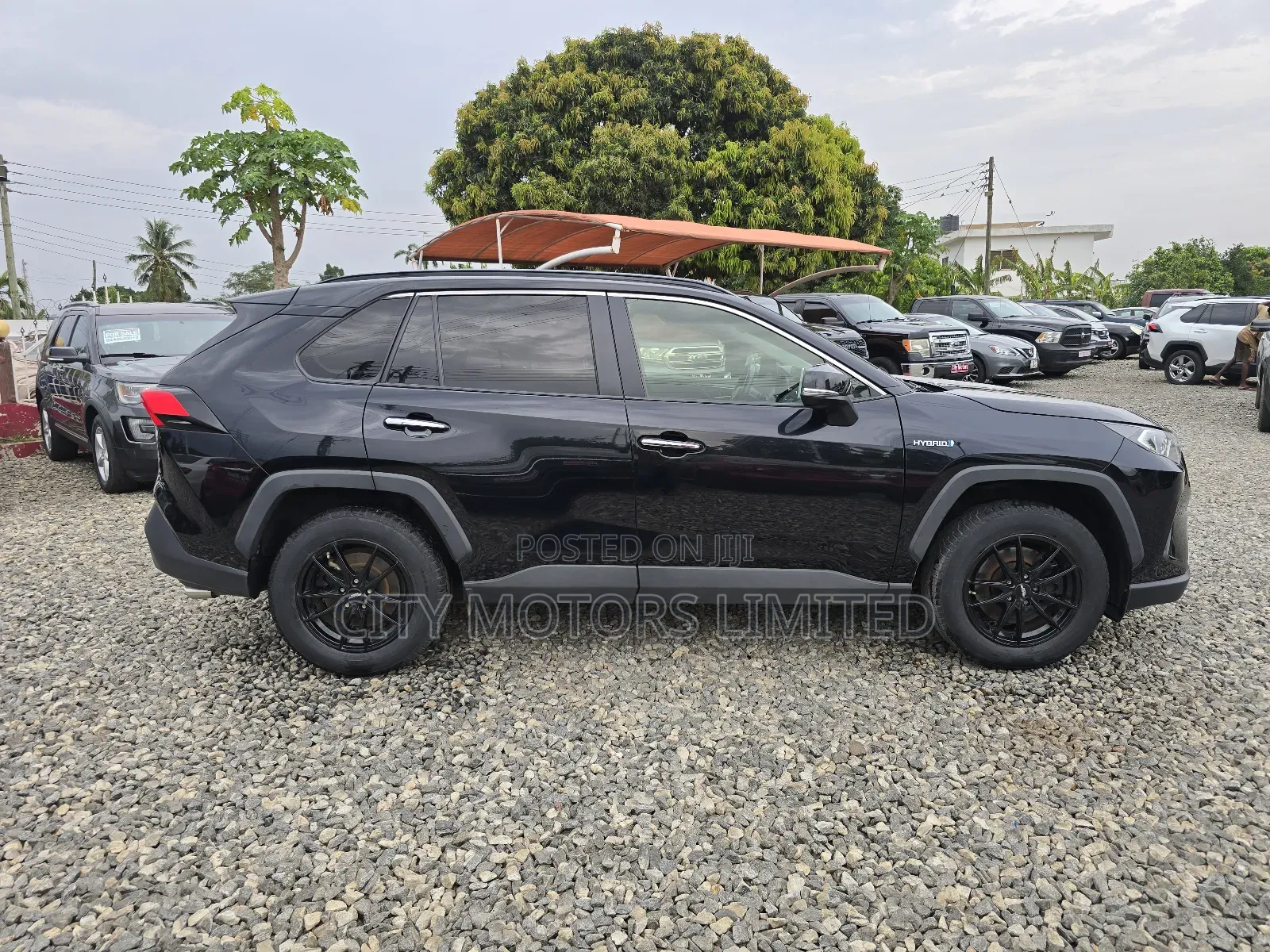 Toyota RAV4 Limited 2021 Black