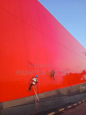 Master Window Glass Facade Cleaning