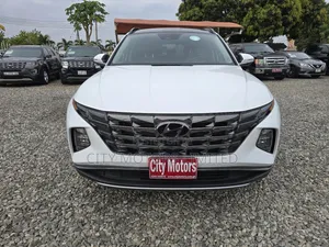 Hyundai Tucson Limited 2024 White
