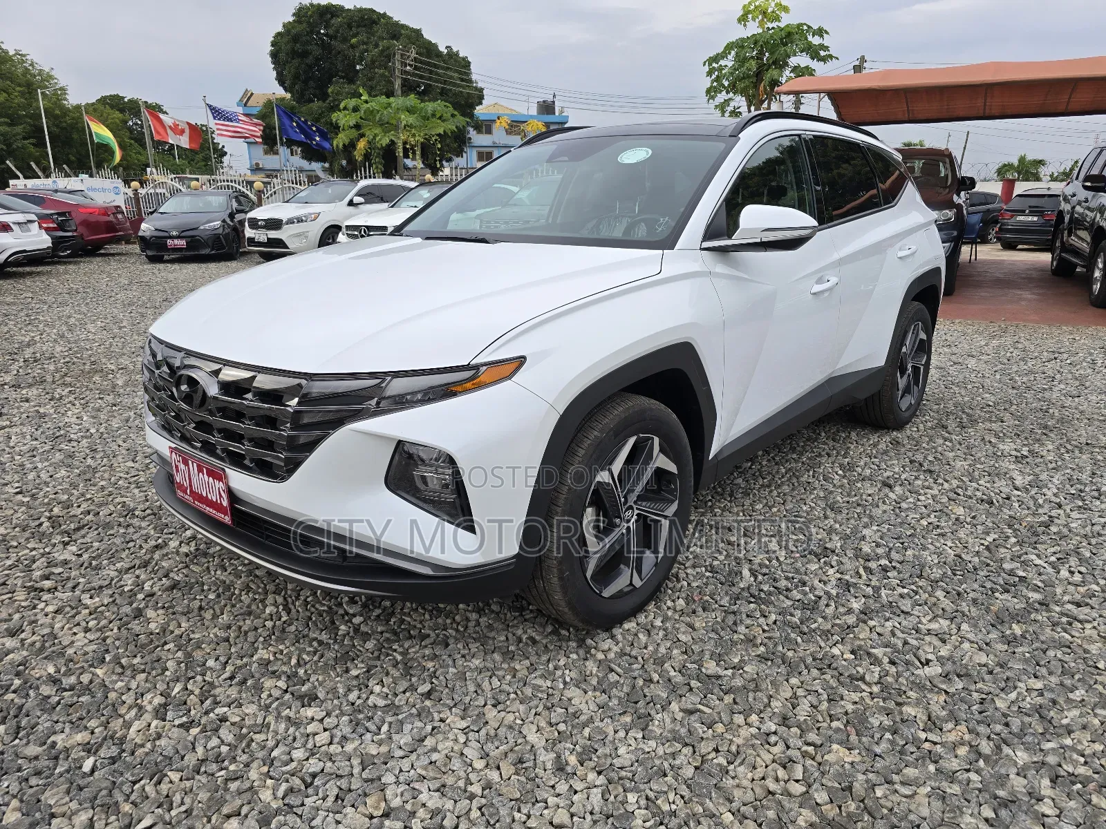 Hyundai Tucson Limited 2024 White