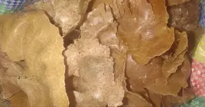 Groundnut Oil Cake for Sale