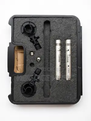 T Bone Phantom Mics
