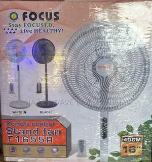 Focus Standing Fan