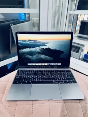 Laptop Apple MacBook 2017 8GB Intel Core M3 SSD 256GB