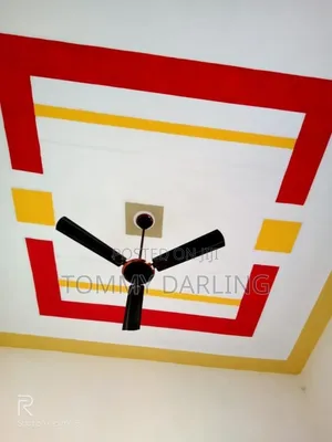 Professional Ceiling and Room Paint Designer