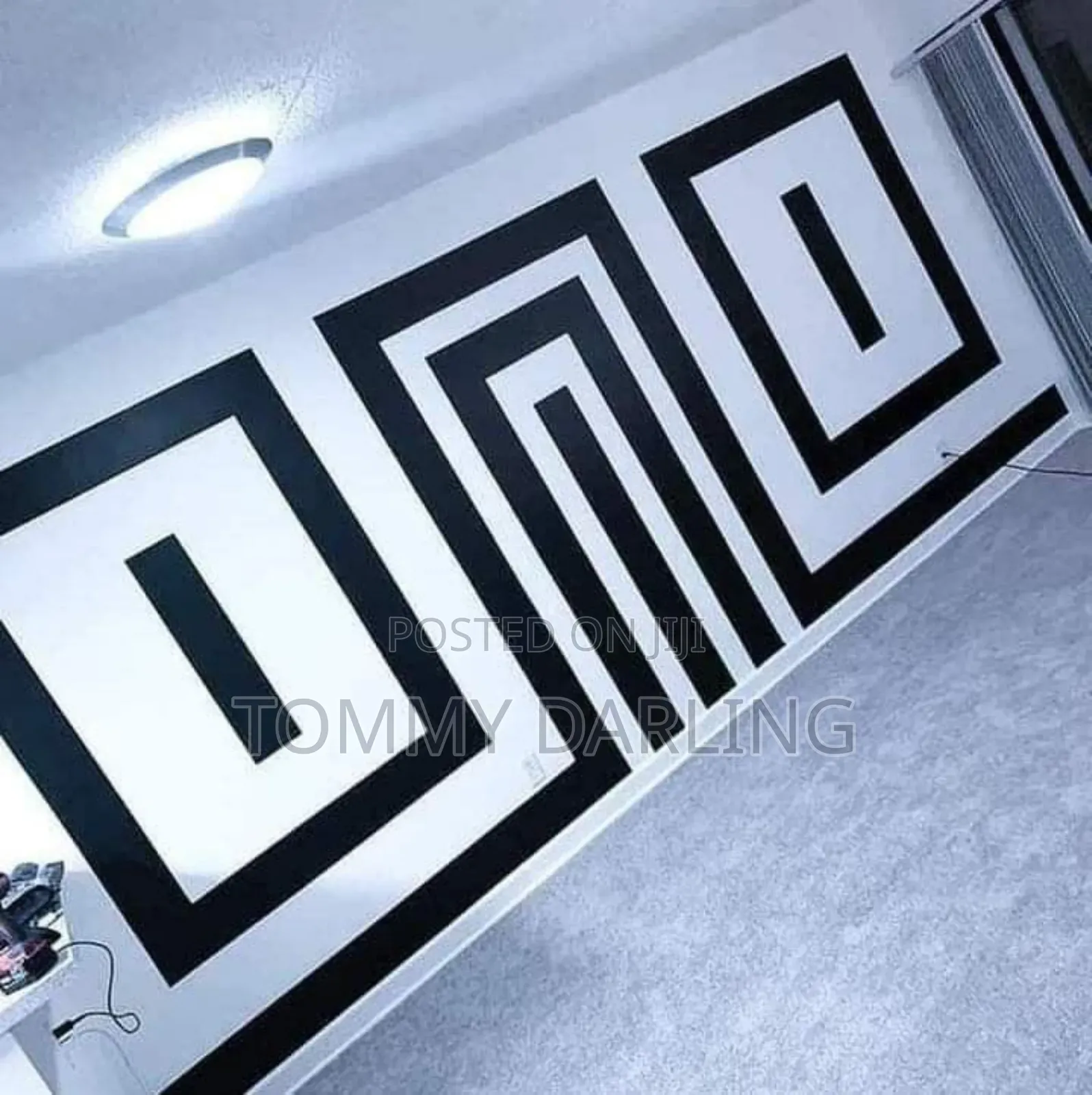 Professional Ceiling and Room Paint Designer
