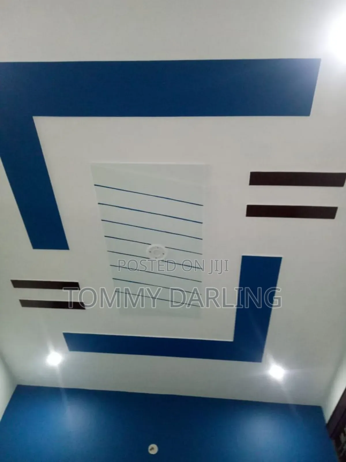 Professional Ceiling and Room Paint Designer