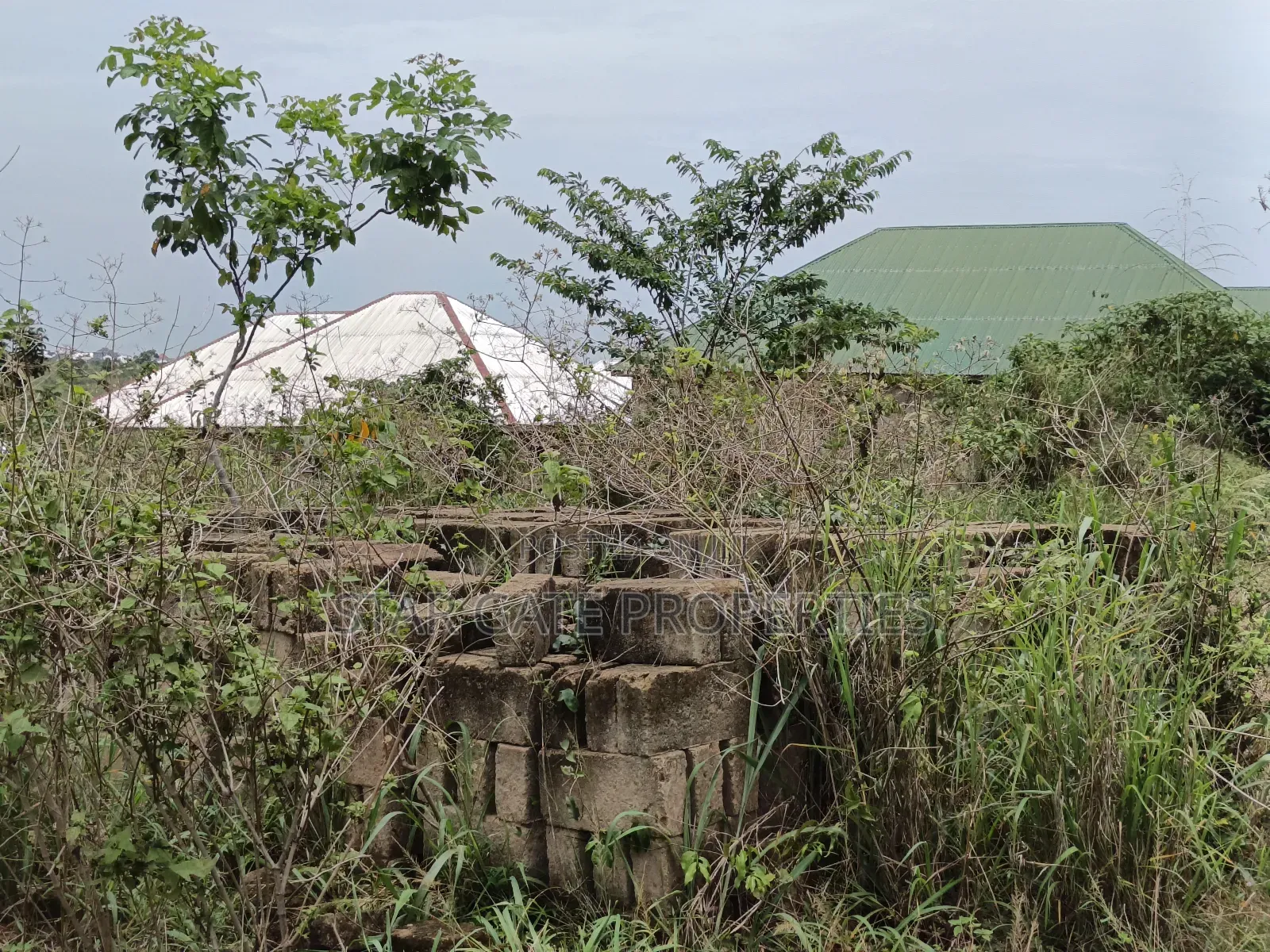 4 Plots ( 1 Acre Land ) for Sale at Waadie Adwumakaase