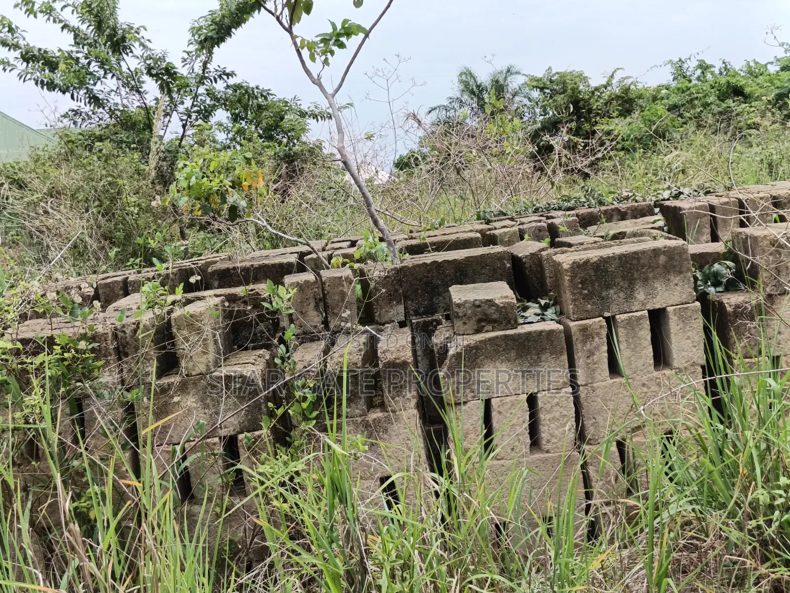4 Plots ( 1 Acre Land ) for Sale at Waadie Adwumakaase