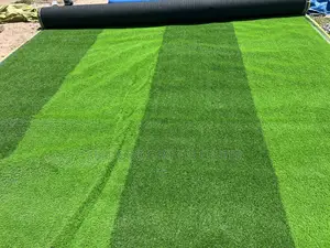 Two-Tone or Multi-Colored Artificial Grass
