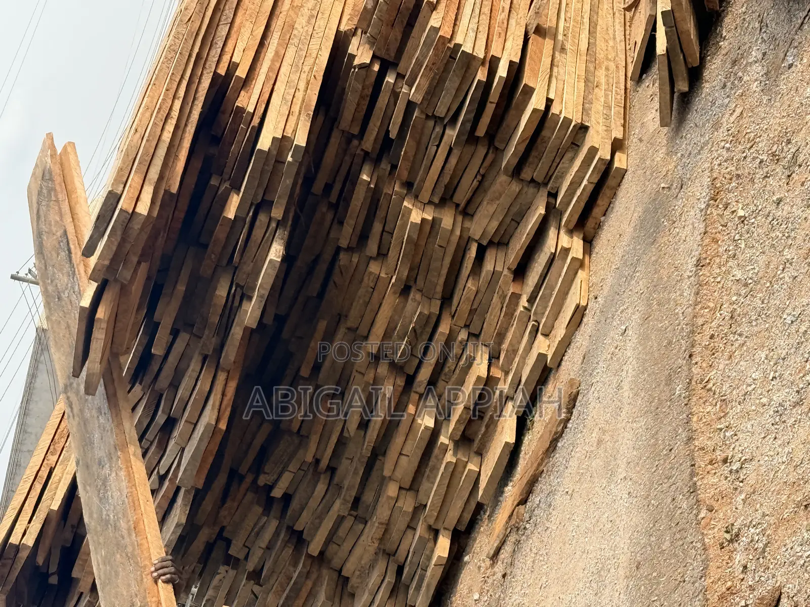 Timber and Logs