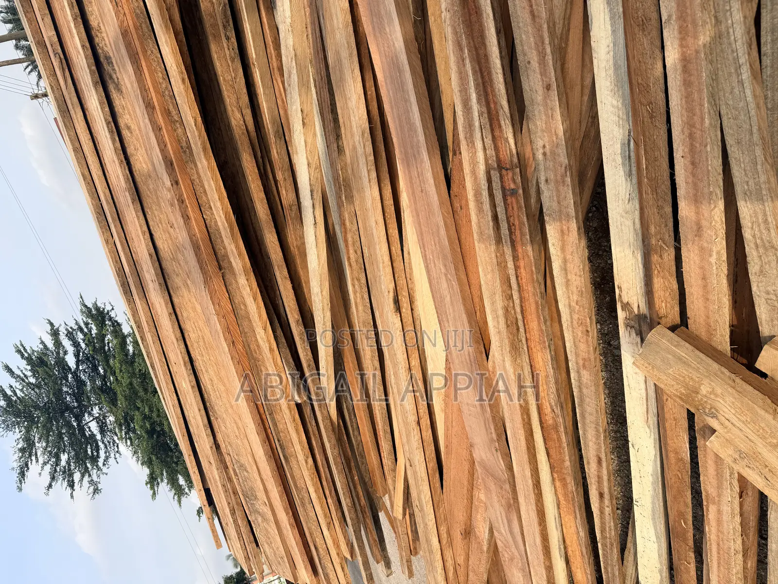 Timber and Logs