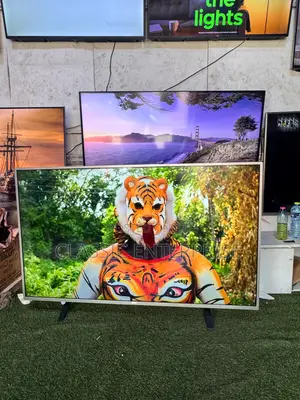 Philips 60 Inches Dolby Vision Ultra High Definition Graphics Tv