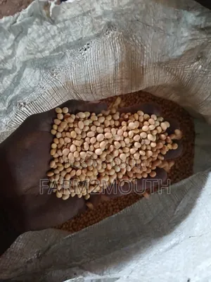 Soya Bean 100kg