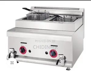 Gas Fryer Counter Top