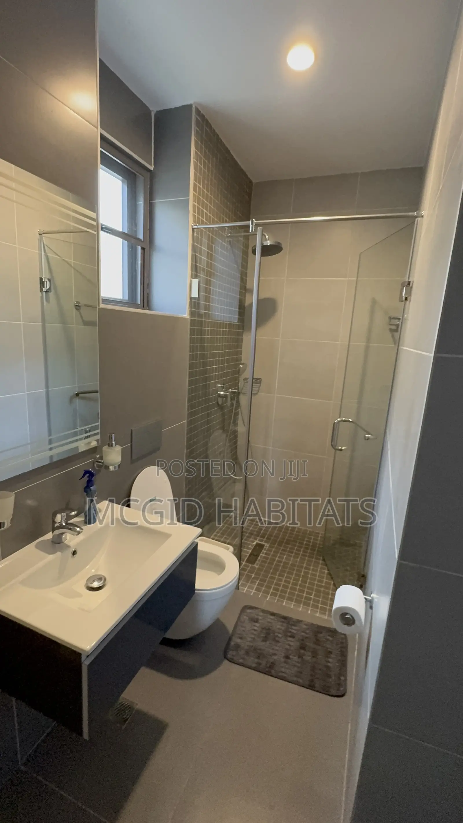 Furnished 1bdrm Apartment in Tseaddo for rent
