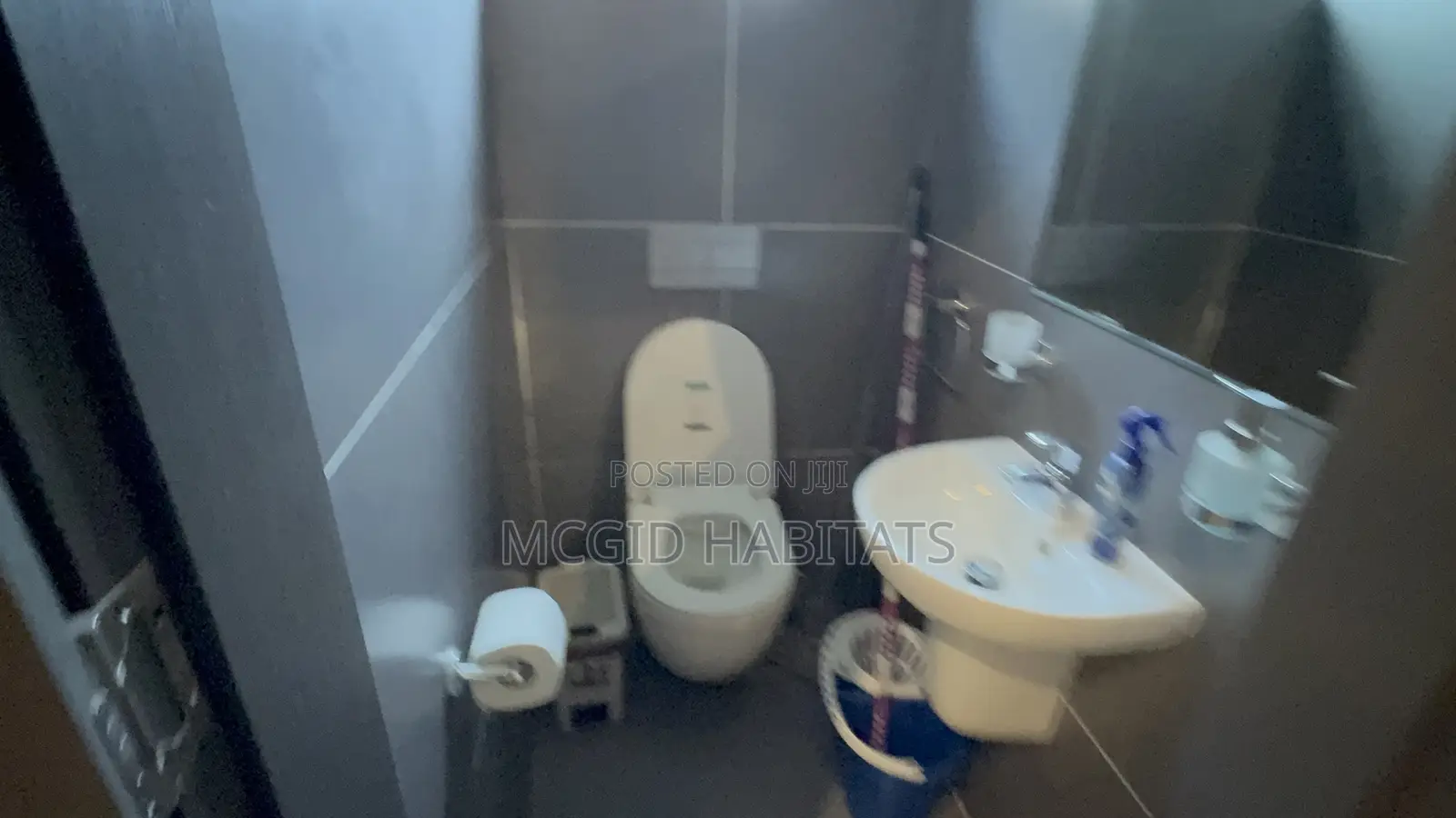 Furnished 1bdrm Apartment in Tseaddo for rent