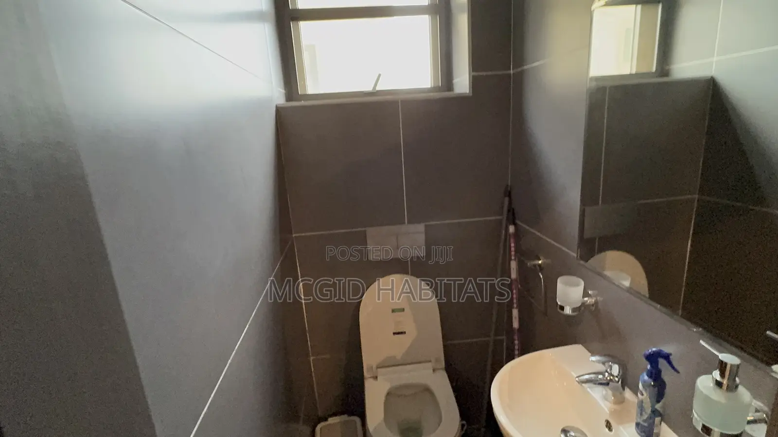 Furnished 1bdrm Apartment in Tseaddo for rent