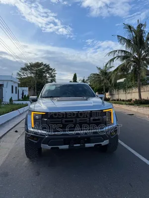 Ford F-150 Raptor 2023 Silver