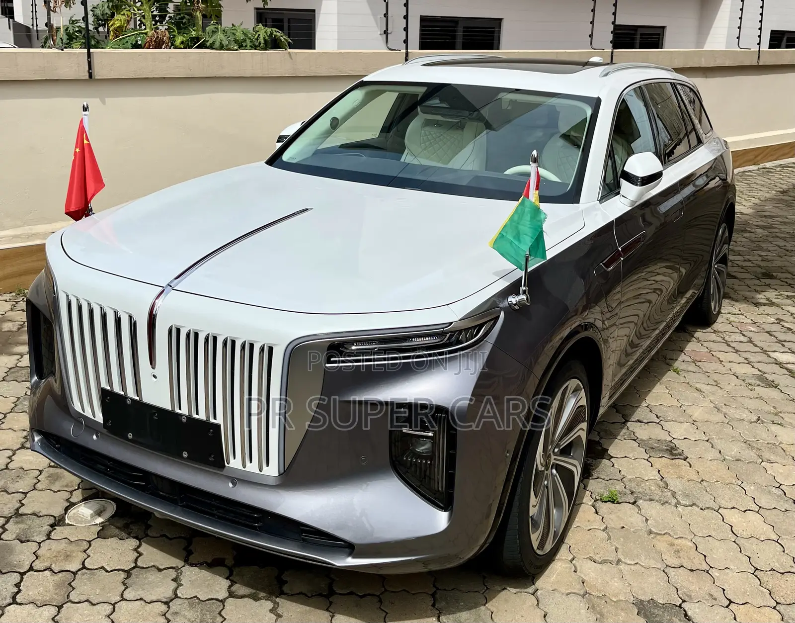 Hongqi E-HS9 2021 Gray
