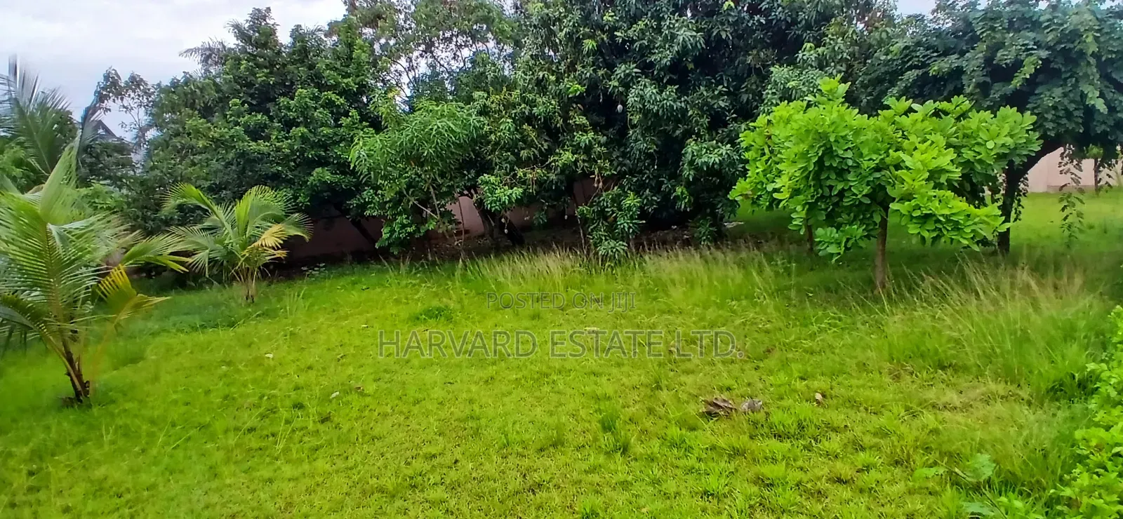 Land for Sale at Tech Anwomaso