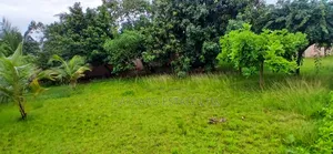 Land for Sale at Tech Anwomaso