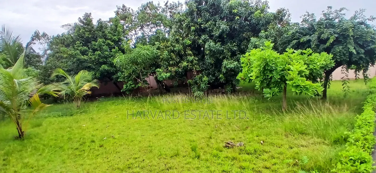Land for Sale at Tech Anwomaso