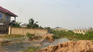 Half Plot of Land