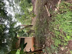 Prime Residential Land for Sale at Nhyieso (Georgia) – Exclusive