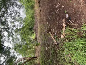 Prime Residential Land for Sale at Nhyieso (Georgia) – Exclusive