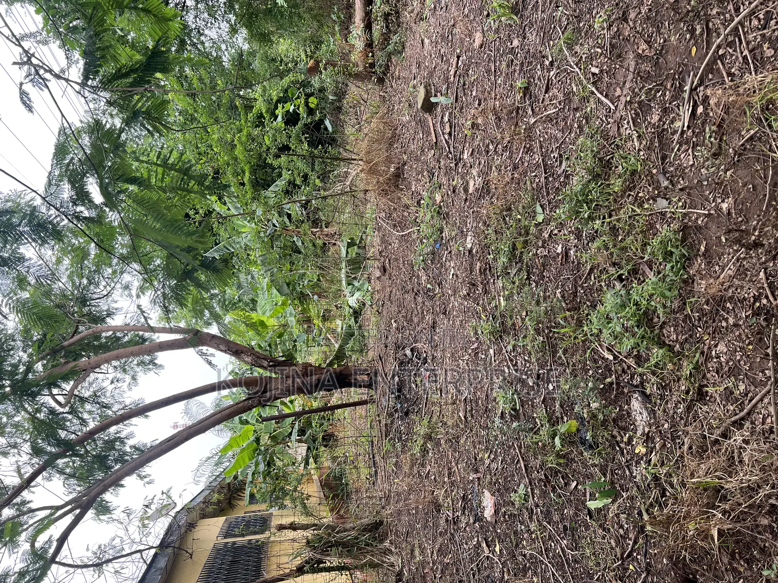 Prime Residential Land for Sale at Nhyieso (Georgia) – Exclusive