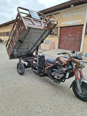 New Tricycle 2026 Brown